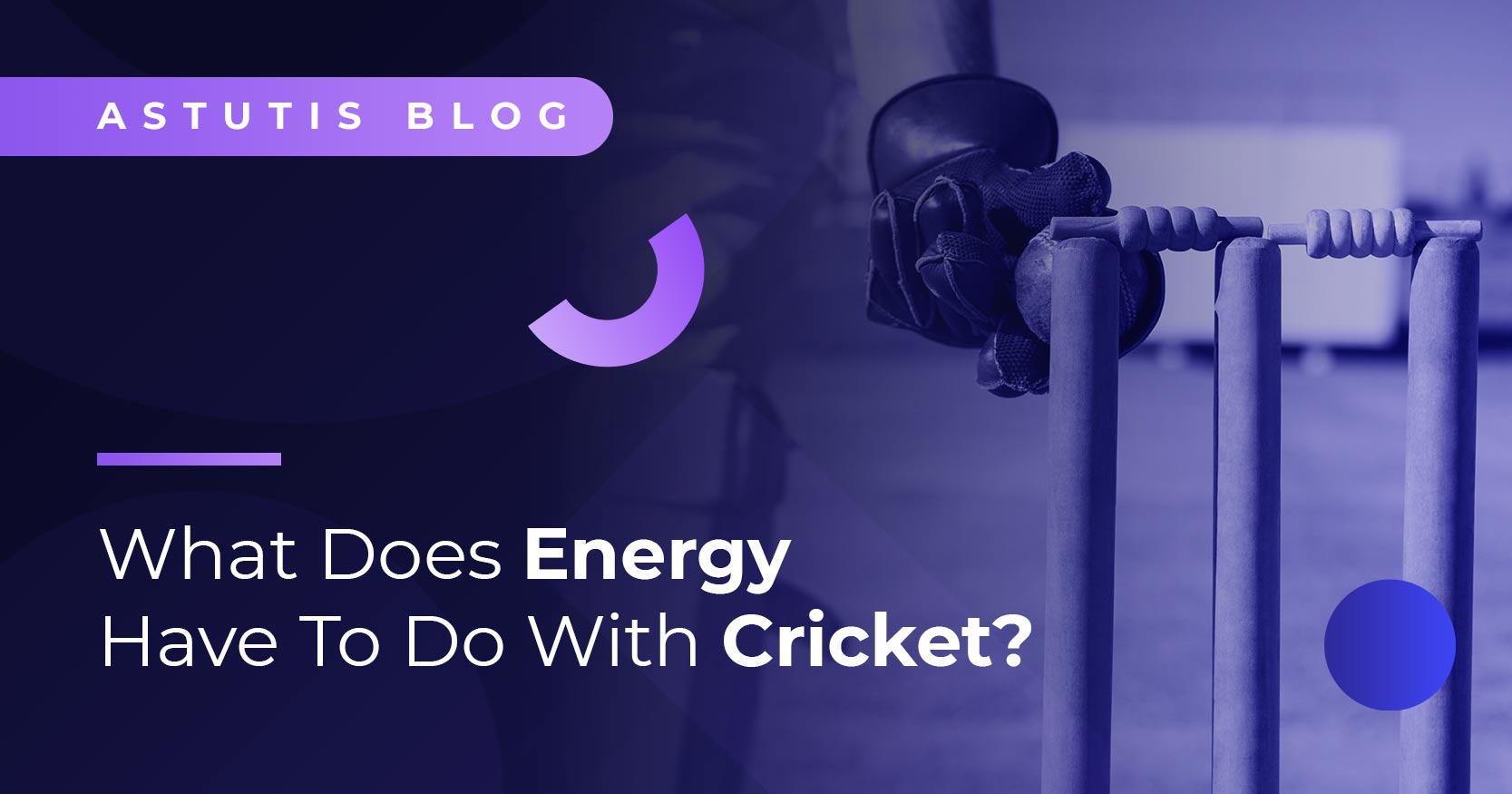 What Does Energy Have to Do With Cricket? Image
