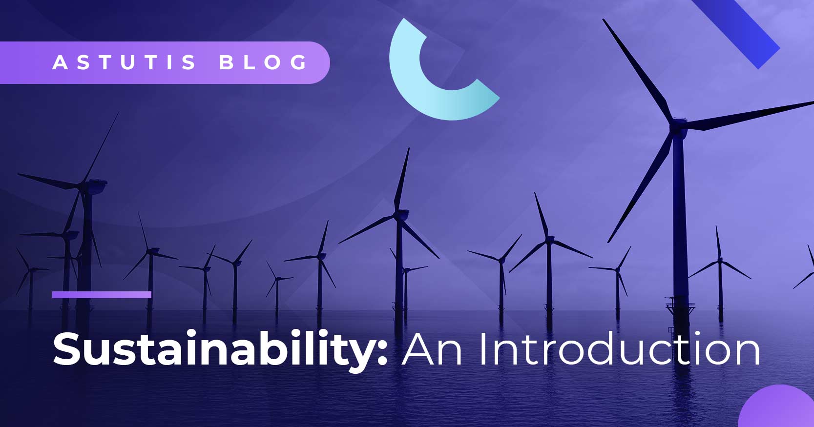 An Introduction To Everything You Need To Know About Sustainability Image