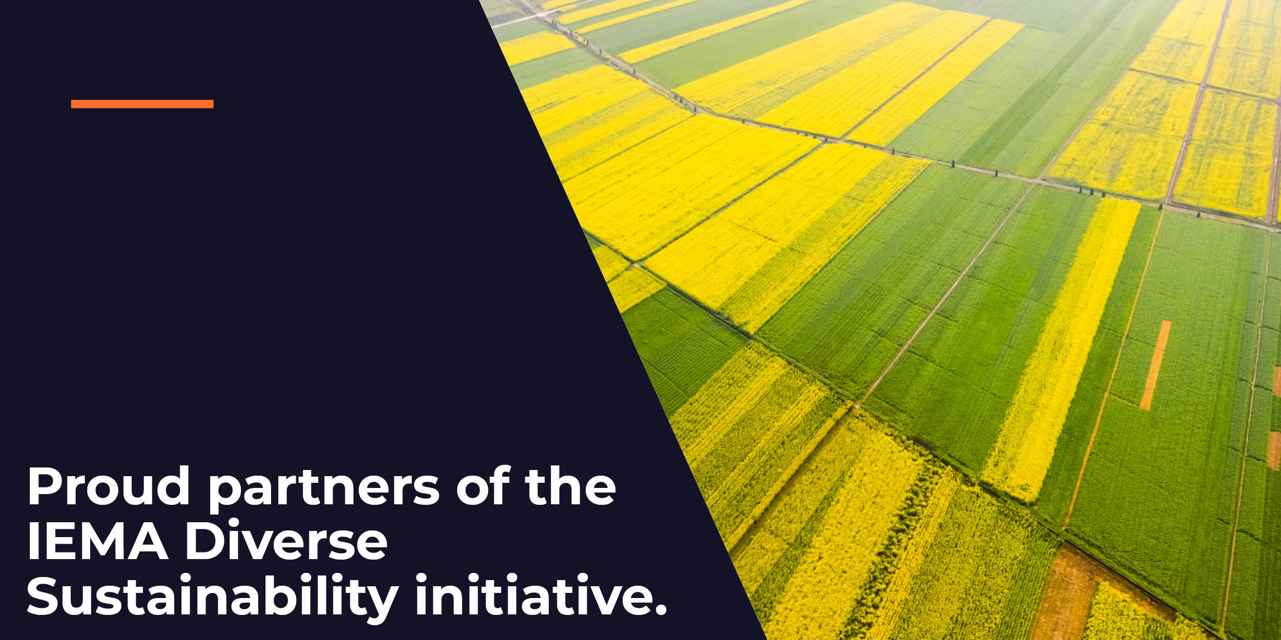 Proud Partners of the IEMA Diverse Sustainability Initiative  Image