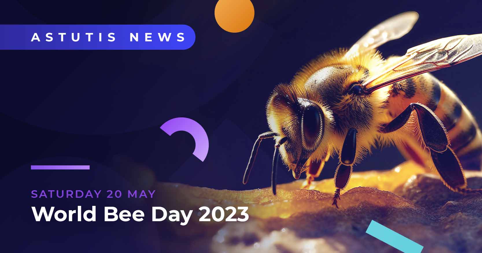 Buzzing for Change: Celebrating World Bee Day 2023 Image