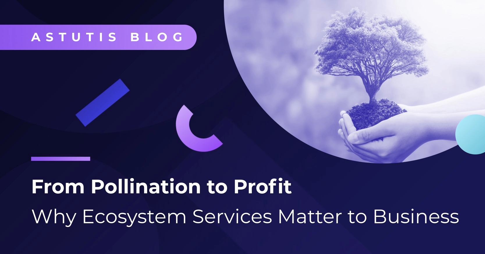 From Pollination to Profit | Why Ecosystem Services Matter to Business