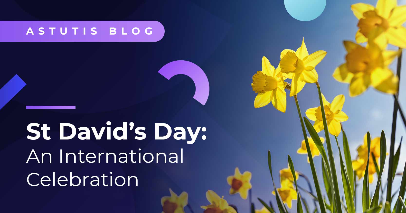 St David's Day: An International Celebration Image