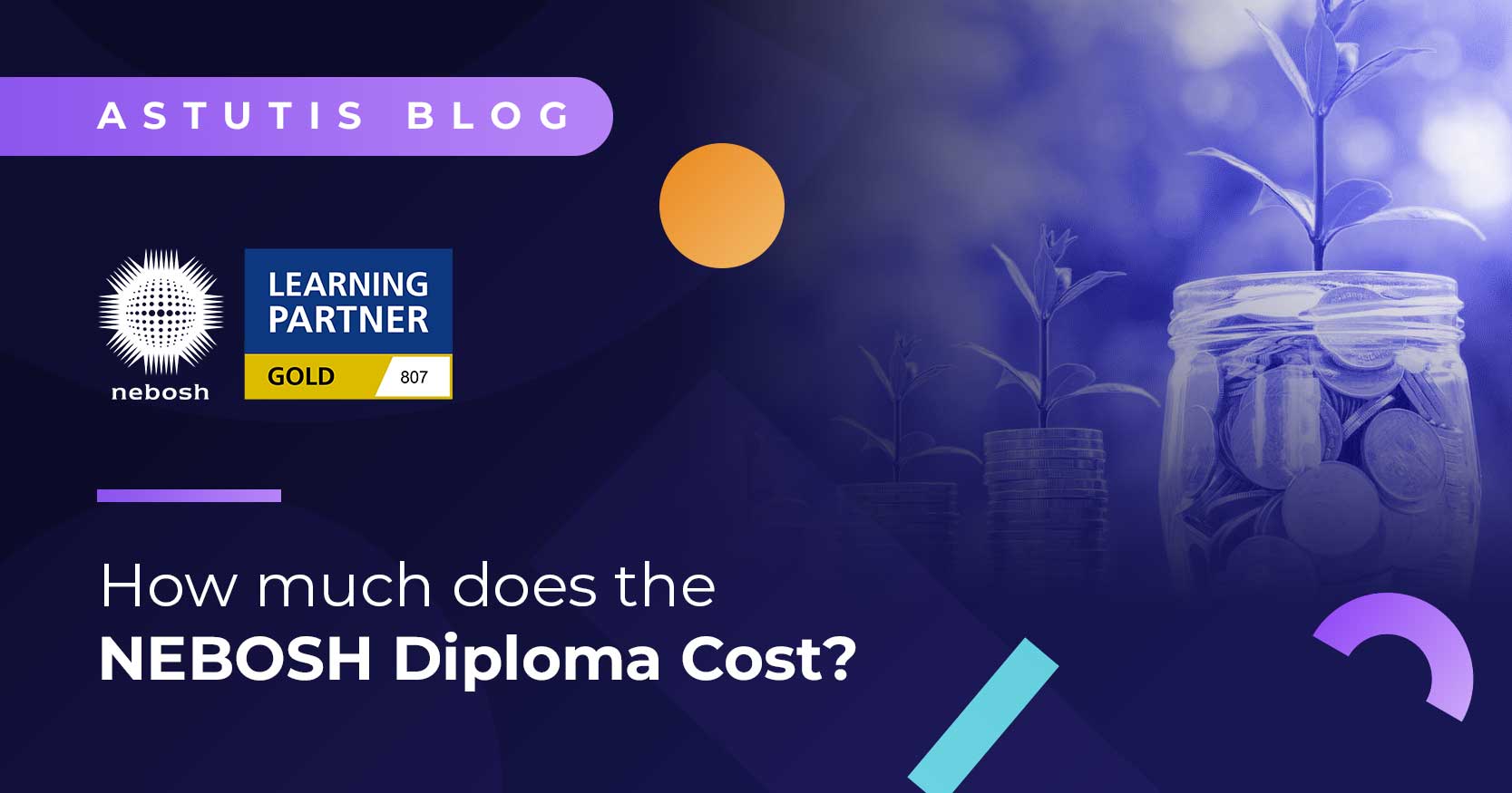 How Much Does the NEBOSH Diploma Cost? Image