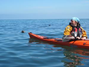 Renowned Environmentalist Adds to Astutis' Armoury Image