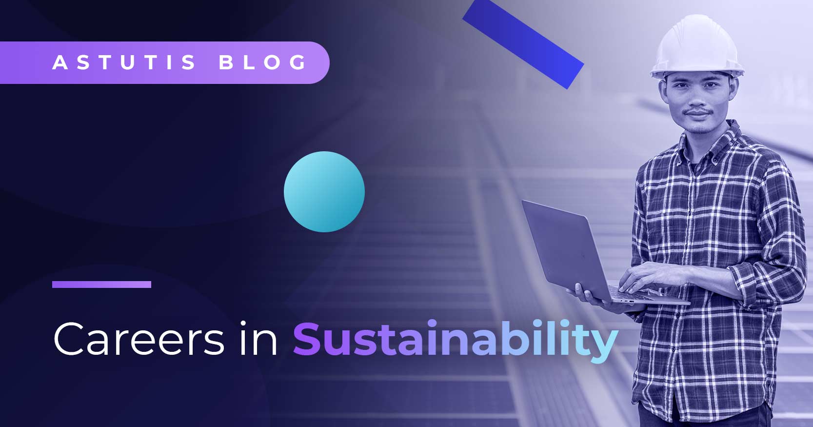 How to Forge a Career in Sustainability Image